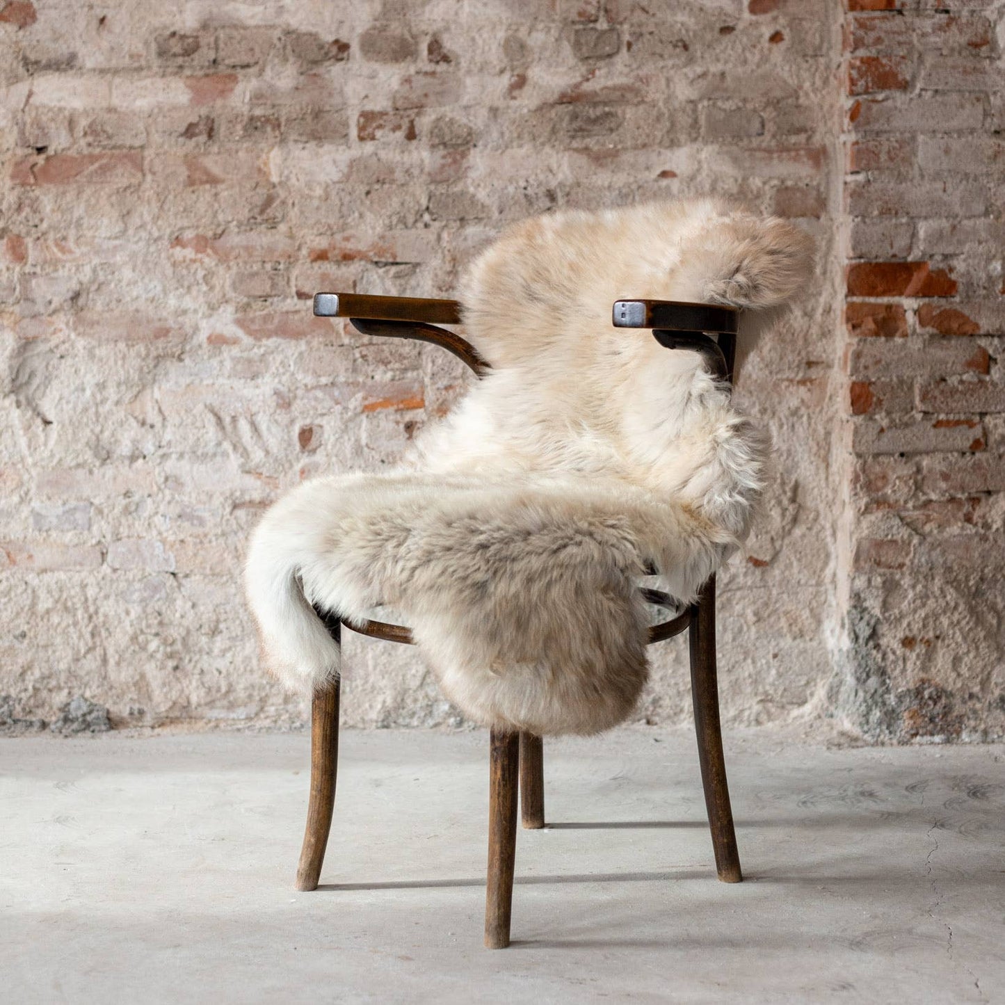 Texel sheepskin mottled GR3