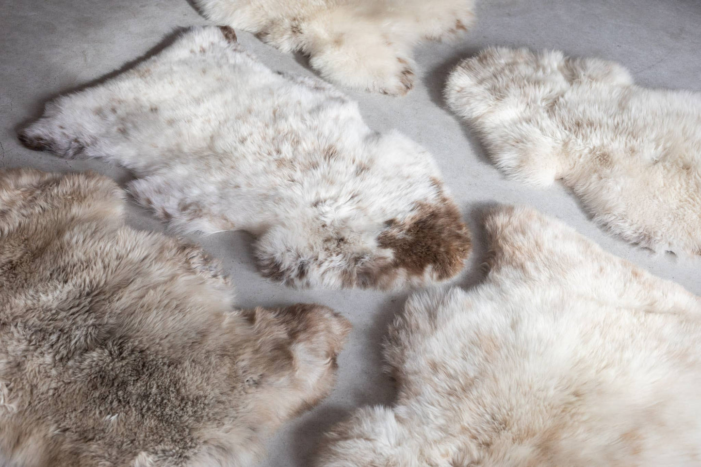 Texel sheepskin mottled GR3